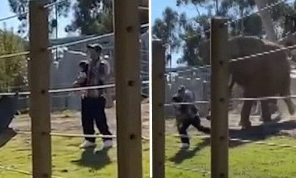 Vụ chủ quán ở chợ Xanh ném tiền của khách xuống đất: Dân mạng kể thêm trải nghiệm nhớ đời ảnh 5