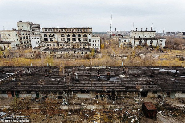 Những chú chó hoang với bộ lông màu xanh da trời khiến ai cũng sốc: Chuyện gì đang xảy ra vậy? ảnh 3