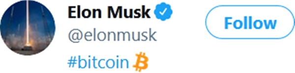 Thế giới đang “cuồng Elon”: Elon Musk cứ nhắc đến tên công ty nào, công ty đó lập tức “ăn nên làm ra” ảnh 4