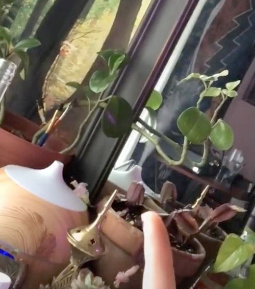 Nhìn thấy hình ảnh bí ẩn trong gương, cô gái sợ hãi tin rằng có “một thế giới song song“ ảnh 1