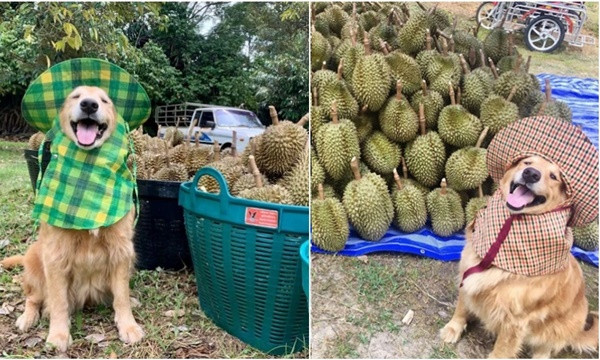 Từ cô bé trong gia đình “cầu vồng” đến nguyên thủ quốc gia trẻ nhất thế giới: Kỳ tích của nữ Thủ tướng Phần Lan ảnh 7 Từ cô bé trong gia đình “cầu vồng” đến nguyên thủ quốc gia trẻ nhất thế giới: Kỳ tích của nữ Thủ tướng Phần Lan ảnh 7