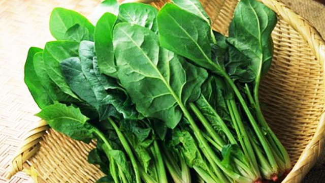 Những 'đại kỵ' khi ăn đậu phụ không phải ai cũng biết ảnh 1