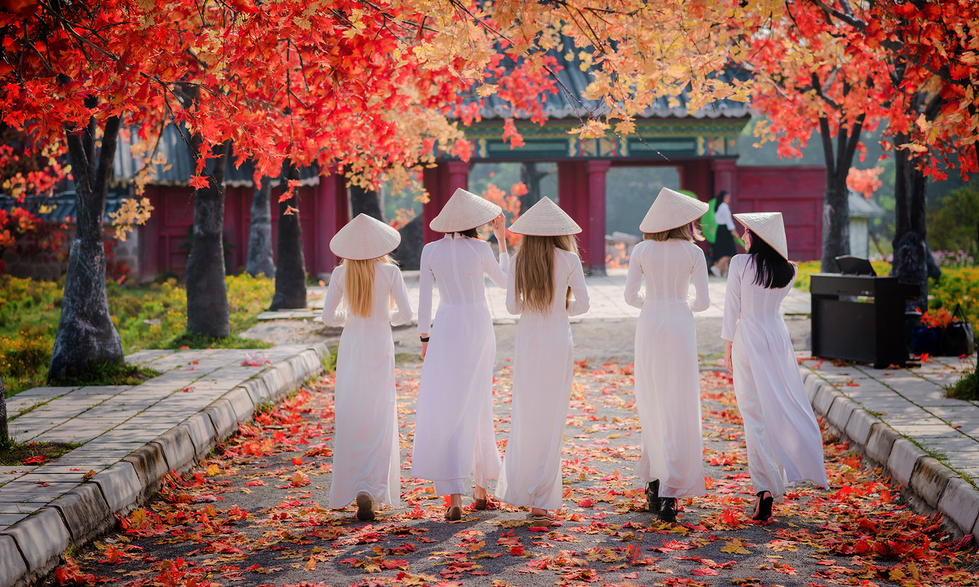 Thiếu nữ phương Tây khoe sắc giữa đồng hoa hoạ mi Hà thành ảnh 8