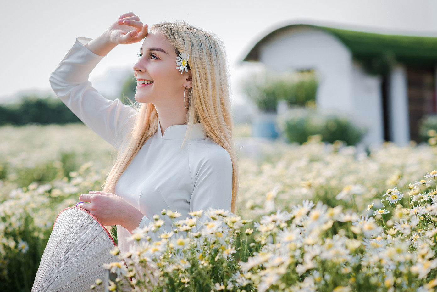 Thiếu nữ phương Tây khoe sắc giữa đồng hoa hoạ mi Hà thành ảnh 3