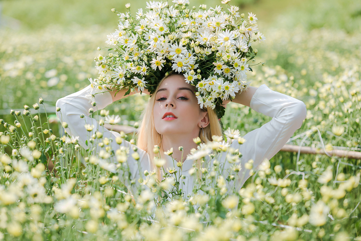 Thiếu nữ phương Tây khoe sắc giữa đồng hoa hoạ mi Hà thành ảnh 4