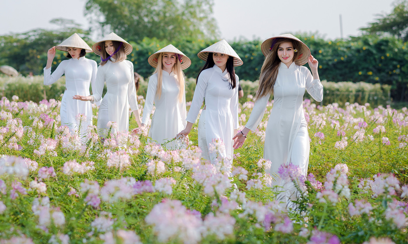 Thiếu nữ phương Tây khoe sắc giữa đồng hoa hoạ mi Hà thành ảnh 7