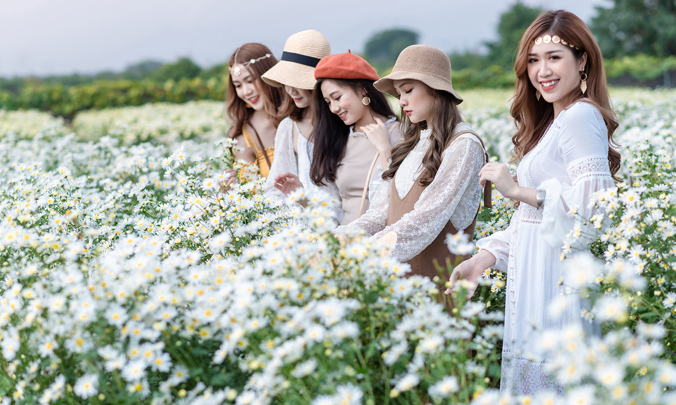 Thiếu nữ Hà thành khoe sắc bên vườn cúc họa mi ảnh 3