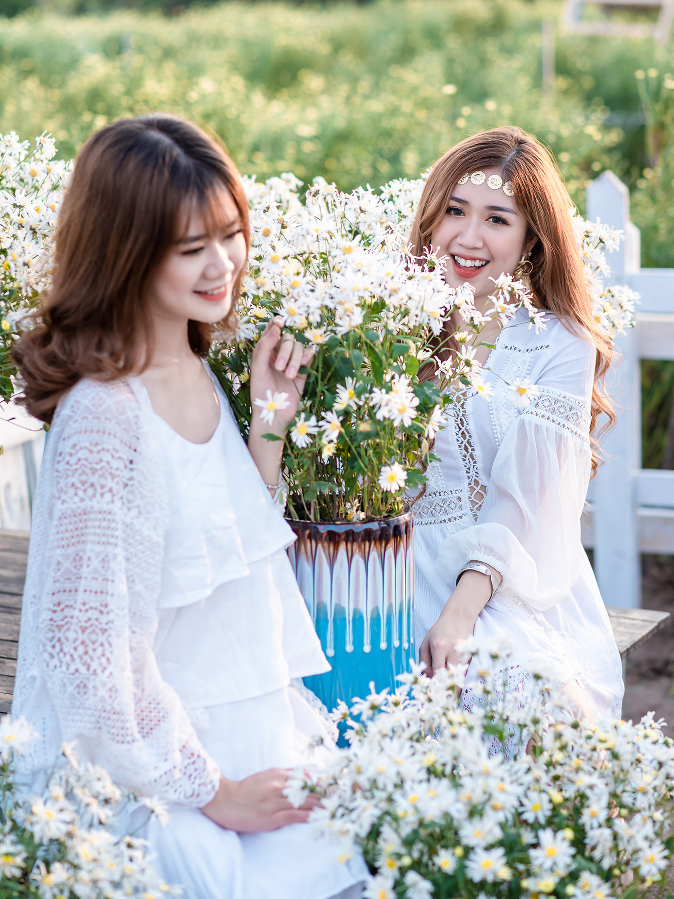Thiếu nữ Hà thành khoe sắc bên vườn cúc họa mi ảnh 7