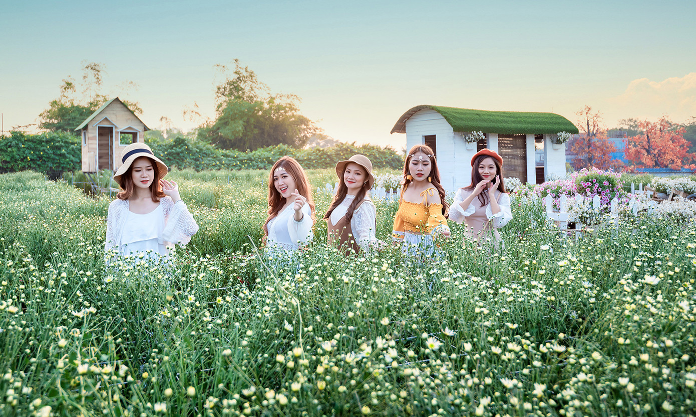 Thiếu nữ Hà thành khoe sắc bên vườn cúc họa mi ảnh 2