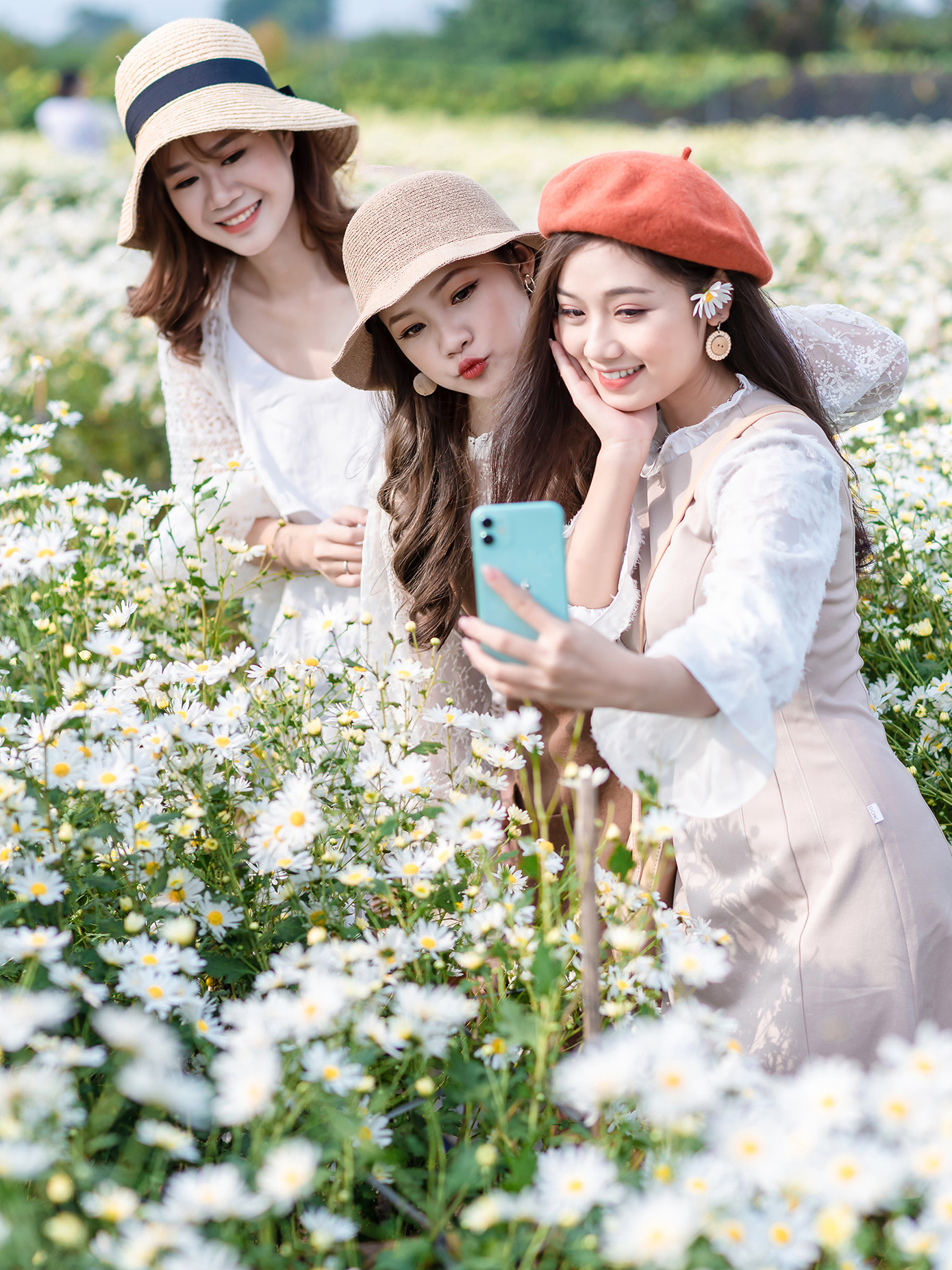 Thiếu nữ Hà thành khoe sắc bên vườn cúc họa mi ảnh 4