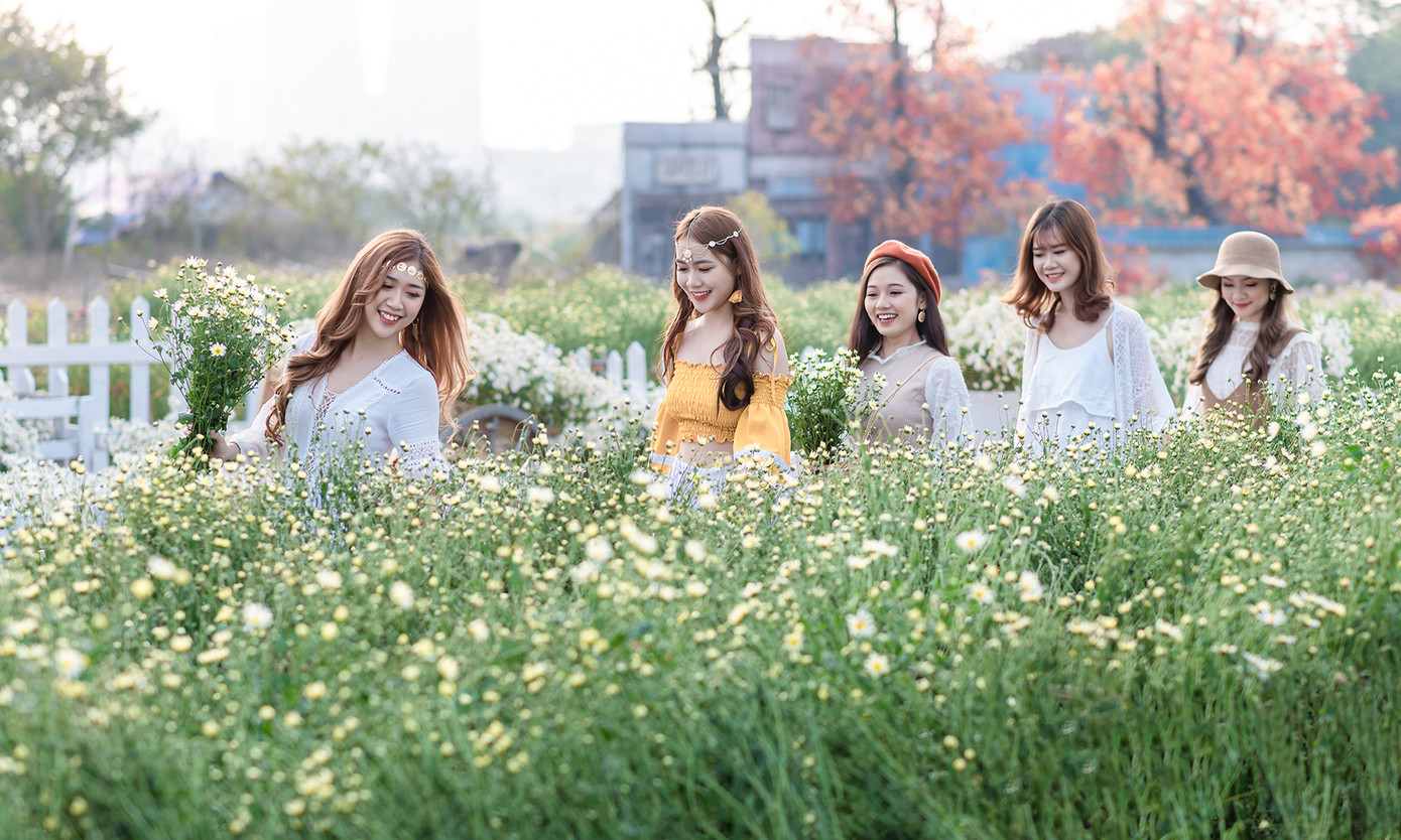 Thiếu nữ Hà thành khoe sắc bên vườn cúc họa mi ảnh 10