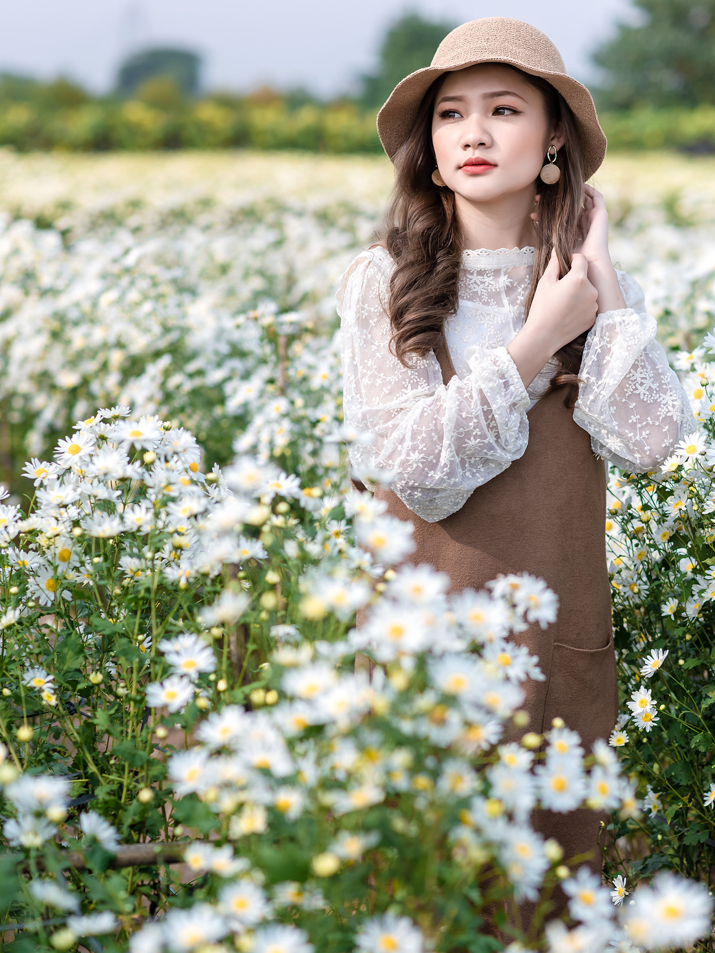 Thiếu nữ Hà thành khoe sắc bên vườn cúc họa mi ảnh 9