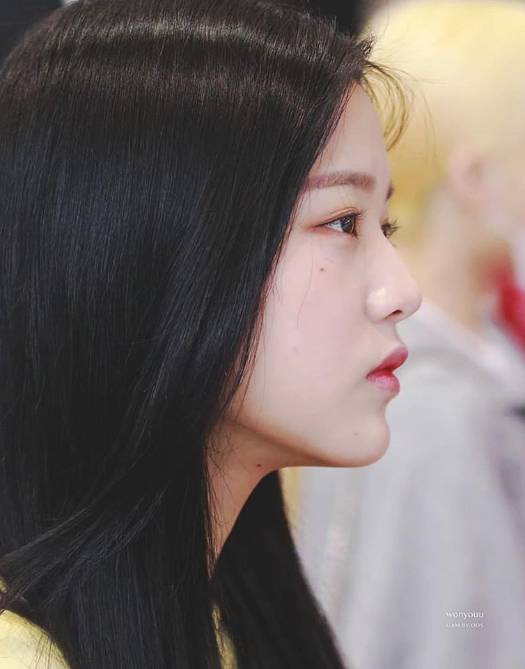 Thôi đừng ghét nốt ruồi của mình nữa, đầy idol có nốt ruồi trên mặt vẫn được khen đẹp ảnh 2