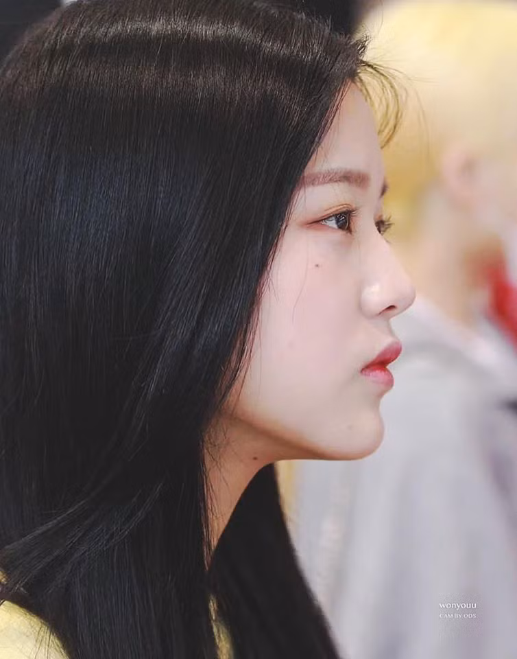 Thôi đừng ghét nốt ruồi của mình nữa, đầy idol có nốt ruồi trên mặt vẫn được khen đẹp ảnh 2