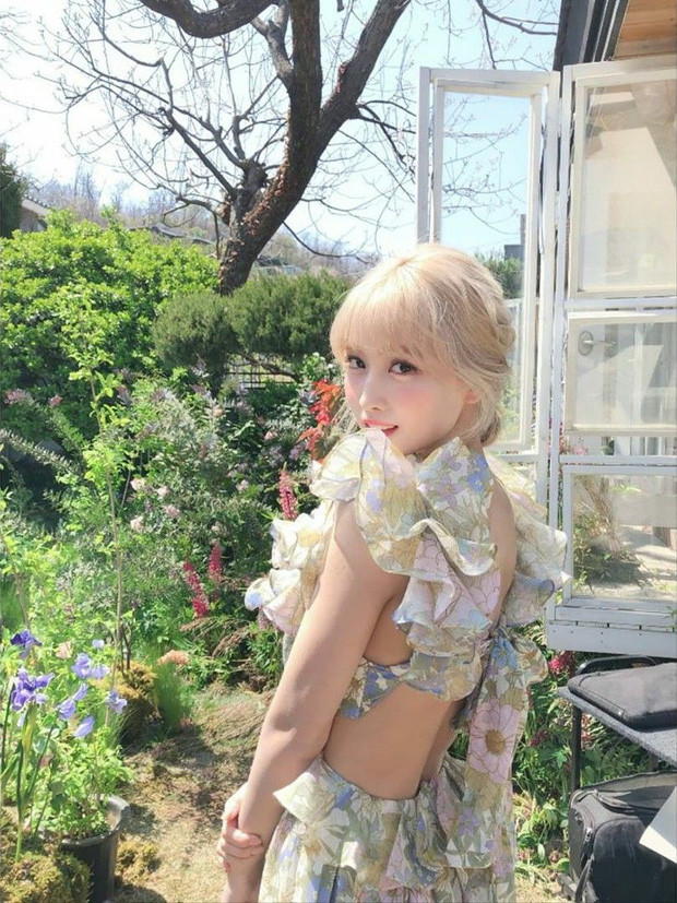 Vì đụng hàng với Rosé mà netizen mới biết váy của Momo (TWICE) được chỉnh sửa cao tay ảnh 7