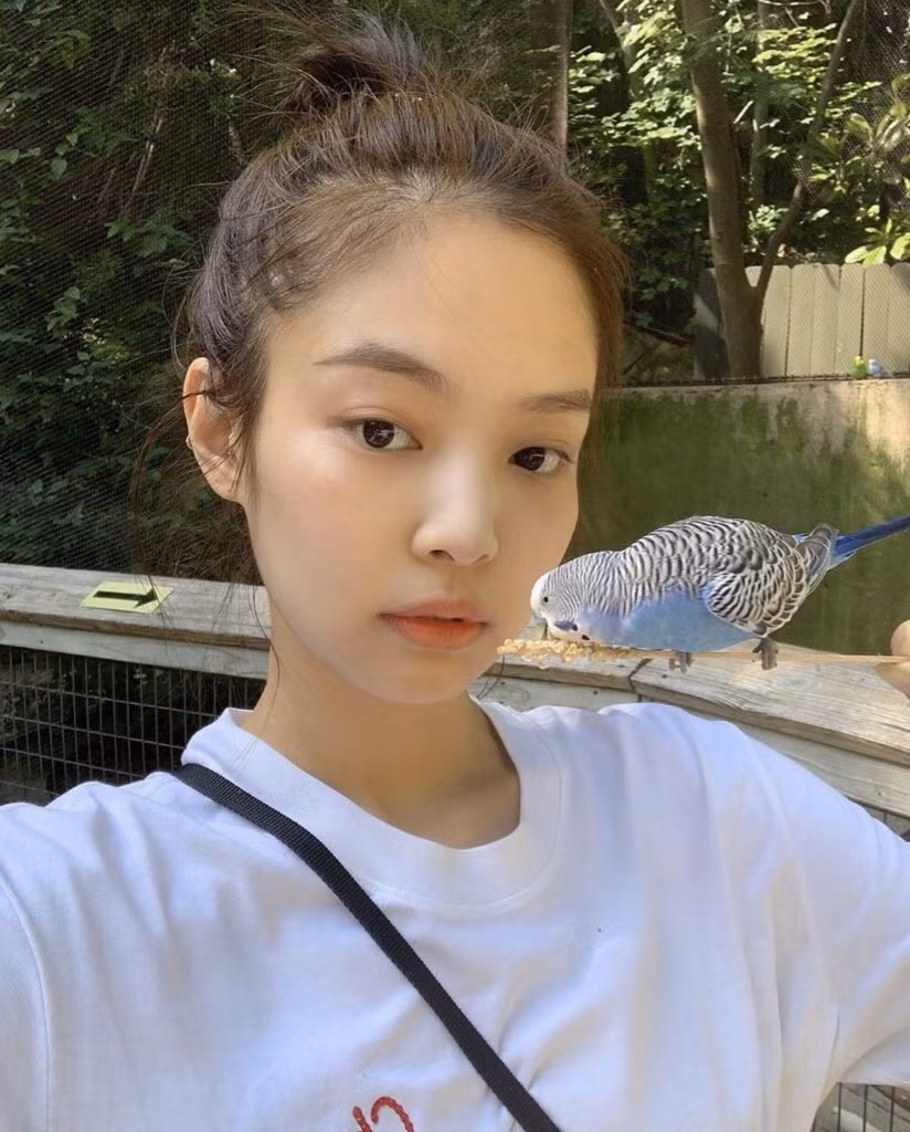 “Nữ thần mặt mộc” của BLACKPINK gọi tên Jennie: Không son phấn còn xinh hơn khi trang điểm ảnh 3