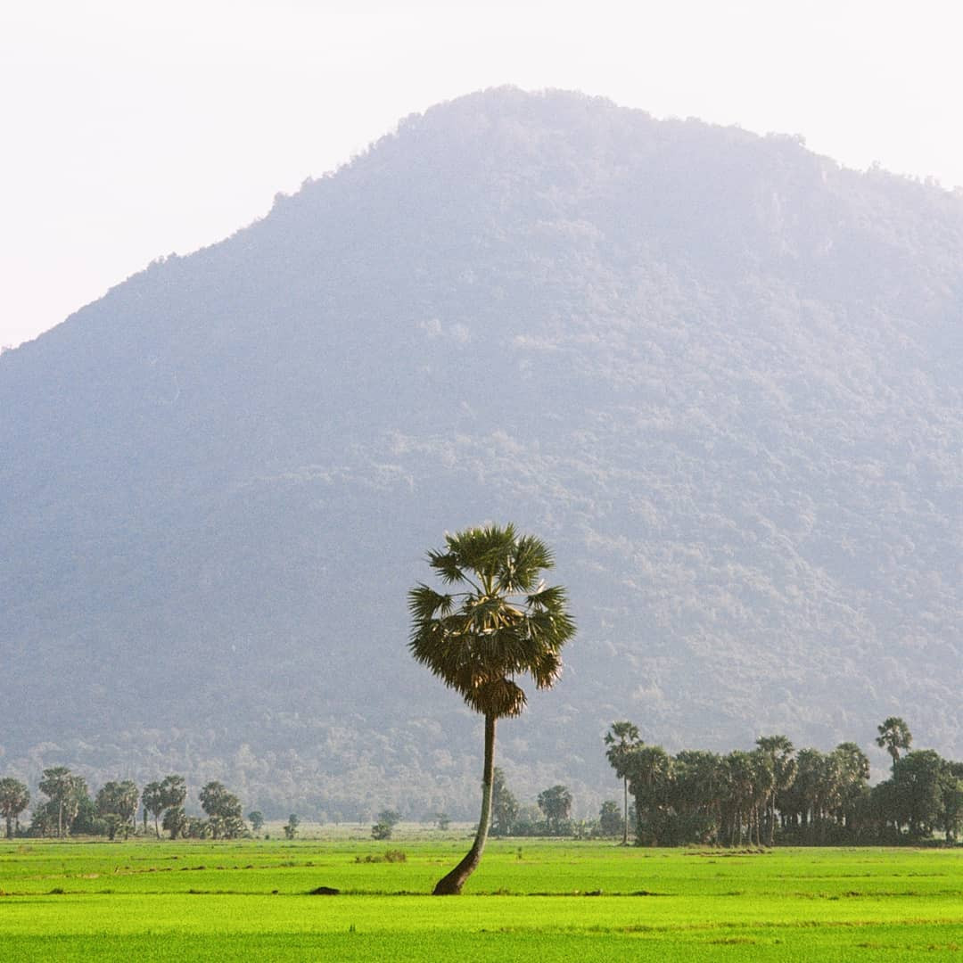 @i.am.long: “Phải đi du lịch mới có kho ảnh phong cảnh và đời sống phong phú được” ảnh 4