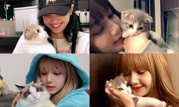 Lisa lần đầu tiết lộ về hình nền trên điện thoại: Rất bất ngờ nhưng cũng cực hợp lý ảnh 4