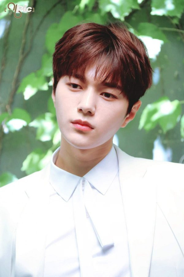 Điểm danh những idol có khả năng khiến Google lú lẫn vì nghệ danh của mình ảnh 15