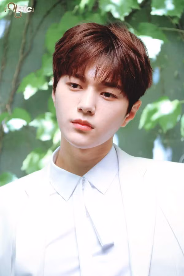 Điểm danh những idol có khả năng khiến Google lú lẫn vì nghệ danh của mình ảnh 15