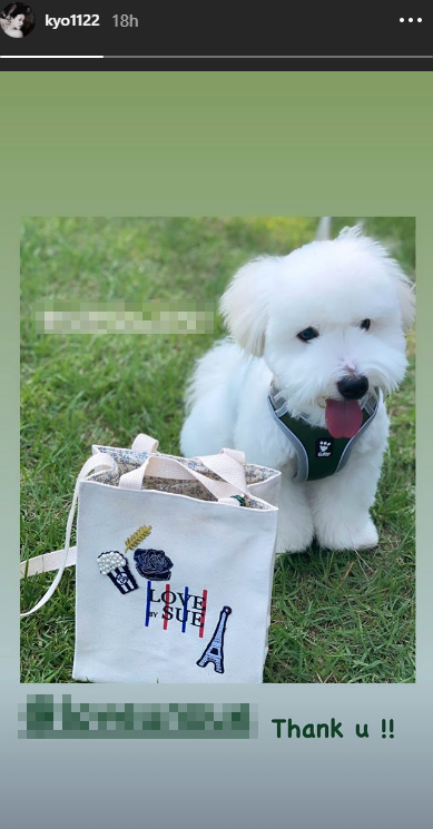 Đại minh tinh châu Á Song Hye Kyo khiến mạng xã hội Hàn Quốc náo loạn chỉ vì 1 tấm ảnh ảnh 3