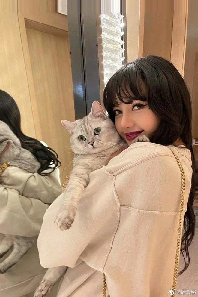 Đội tóc giả chụp selfie, Địch Lệ Nhiệt Ba không ngờ bị netizen nhận nhầm thành Lisa ảnh 4