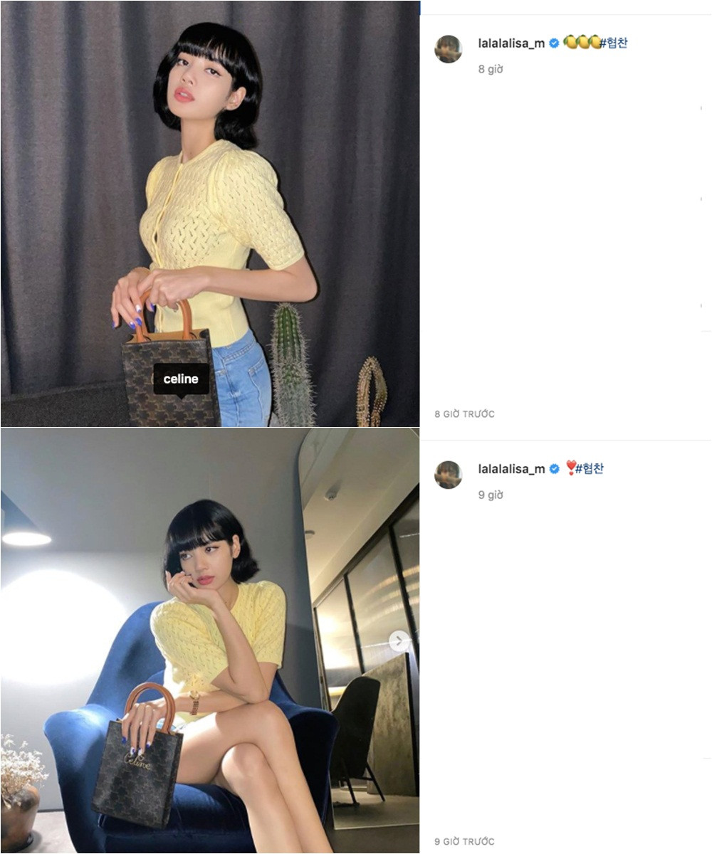 Đăng ảnh khoe túi mới, Lisa (BLACKPINK) chú thích thêm gì khiến cư dân mạng khen hết lời? ảnh 2