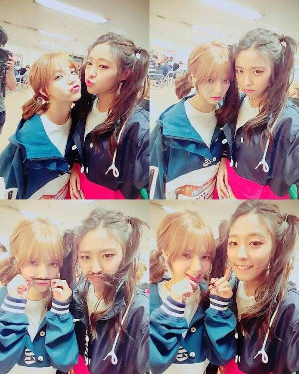 Sau Jimin, đây là thành viên tiếp theo của AOA bị fan K-Pop muốn rời khỏi nhóm ảnh 8