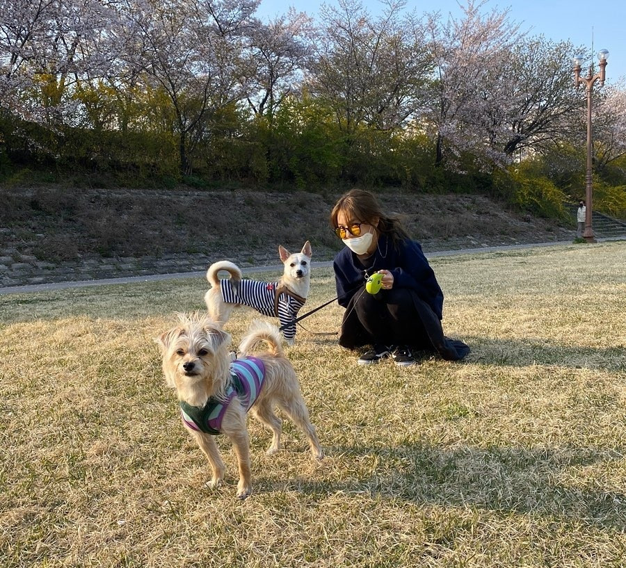 Sao Hàn 24H: Ngắm Johnny (NCT) ngủ nướng cưng “xỉu”, Jennie BLACKPINK khoe bụng phẳng lì ảnh 7