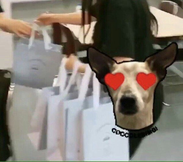 Nhìn những hành động này, netizen gọi Irene (Red Velvet) là “cô tiên quốc dân” cũng đúng ảnh 9