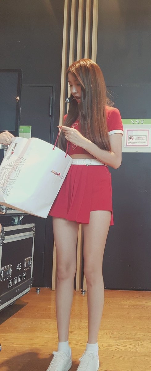 Không phải Sooyoung (SNSD), đây mới là idol nữ sở hữu đôi chân dài nhất K-Pop! ảnh 6