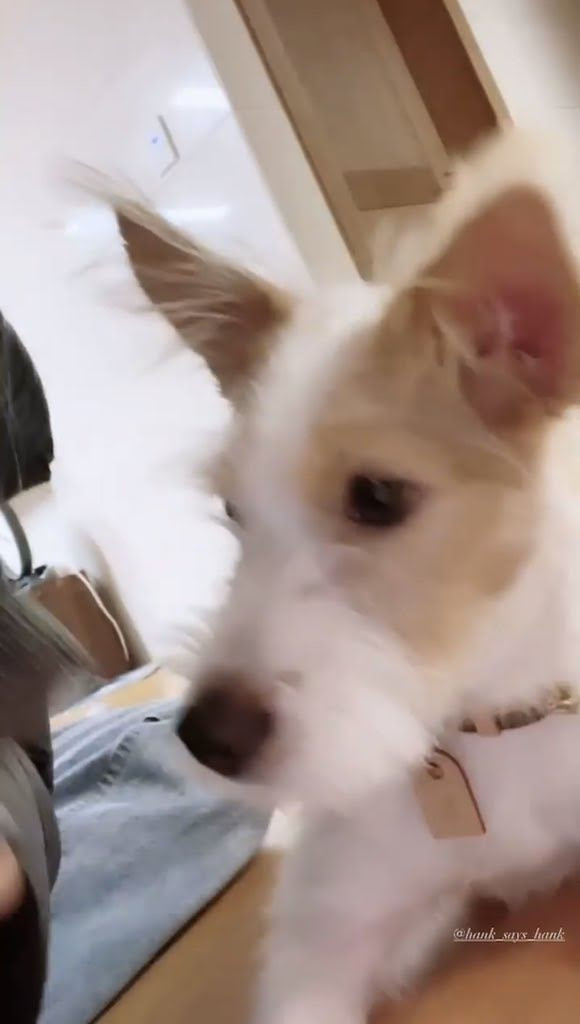 Hội “thánh sold-out” của BLACKPINK có thêm Rosé: Từ đầu năm đã 6 lần gây “cháy hàng” ảnh 7