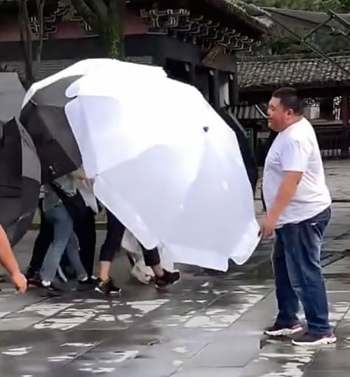 Che ô để bảo mật tạo hình phim mới, Dương Tử lẫn Cúc Tịnh Y đều bị chê “làm lố” ảnh 2