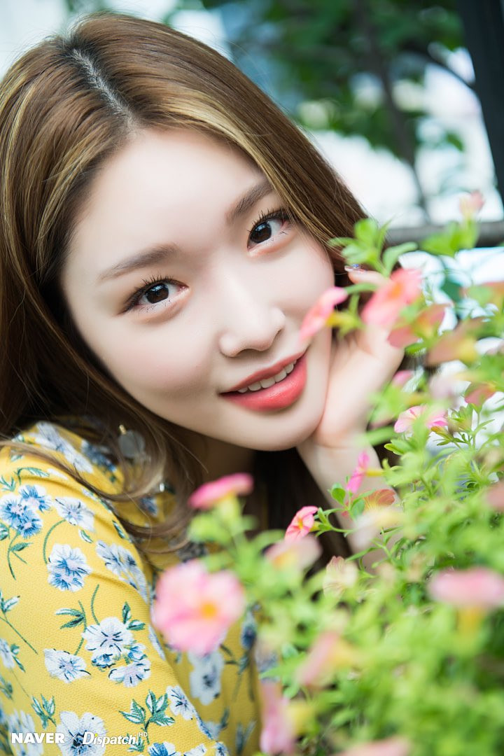 Chính vì Chungha không phô trương, khoe khoang năng lực, một số cư dân mạng mới cho rằng cô không đủ sức làm ca sĩ solo. Chungha: Từ thành viên bị lu mờ trong I.O.I đến “Nữ hoàng K-Pop” thế hệ mới ảnh 3