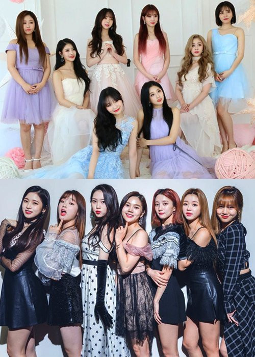 Ly kỳ nhất K-Pop lúc này: Album Oh My Girl ký tặng Lovelyz bị rao bán trên mạng ảnh 3