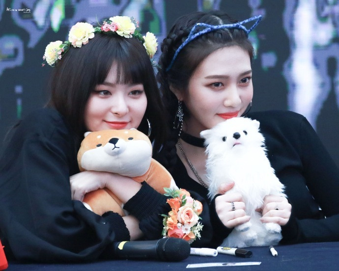 Joy và Seulgi (Red Velvet) bị nhiều người khó chịu vì một lý do không thể hiểu nổi ảnh 1