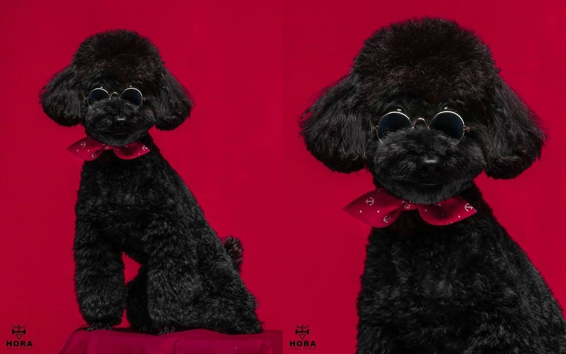 Sao Hàn 24H: Leeteuk (Super Junior) năn nỉ hacker, Chanyeol (EXO) khoe boss siêu ngầu ảnh 2