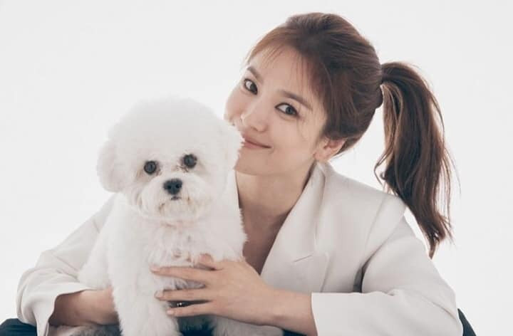 Loạt ảnh này có gì lạ mà giúp Song Hye Kyo được khen “vượt trội Kim Tae Hee, Son Ye Jin”? ảnh 6