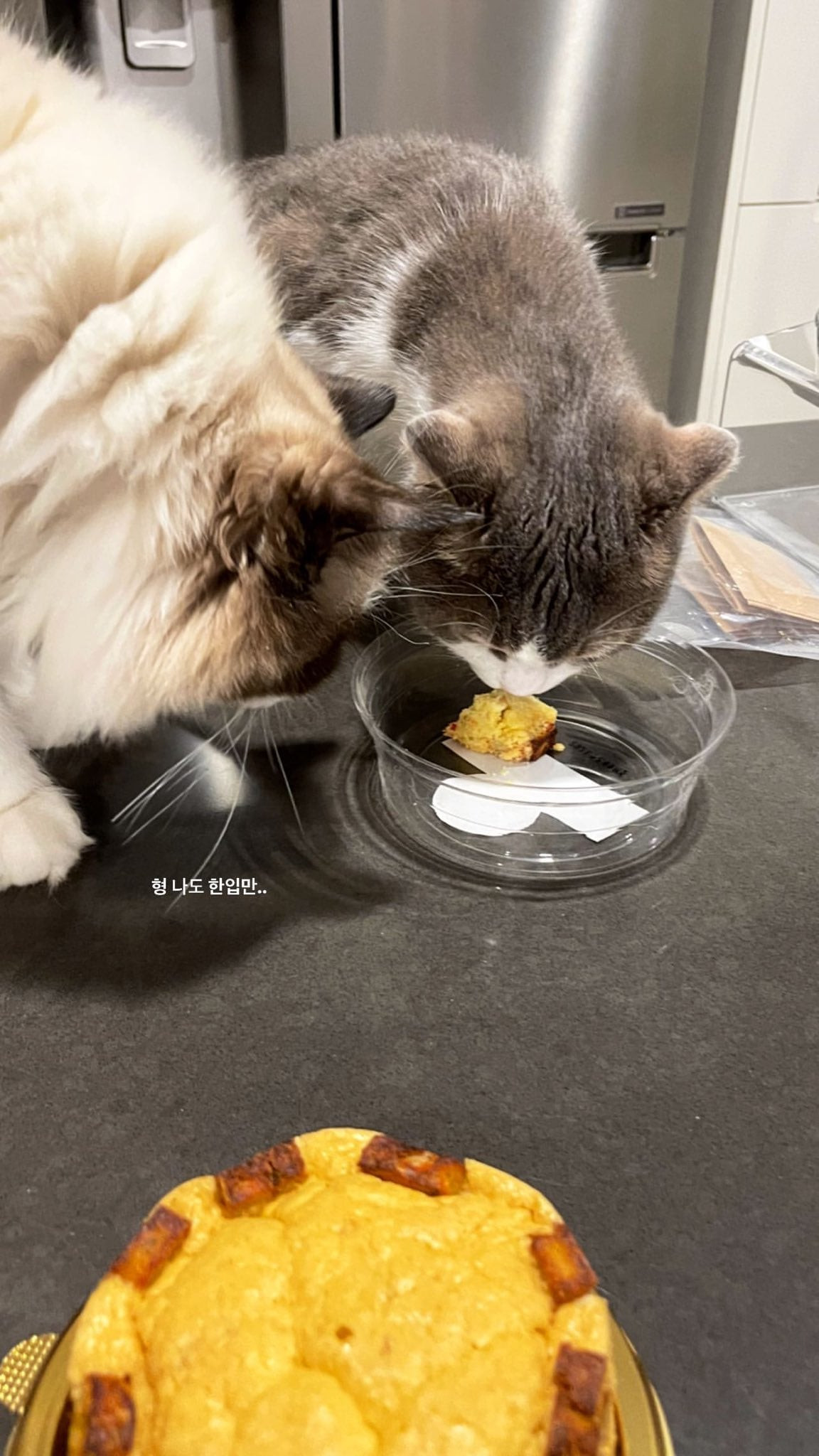 Nghe tin Lisa làm điều này đến lần thứ 5, netizen bàng hoàng “Tưởng nói chơi mà hóa thật” ảnh 3