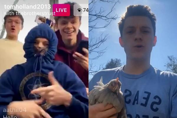 Đi siêu thị mua trứng mà hết, “Người Nhện” Tom Holland mua luôn gà về nuôi ảnh 2