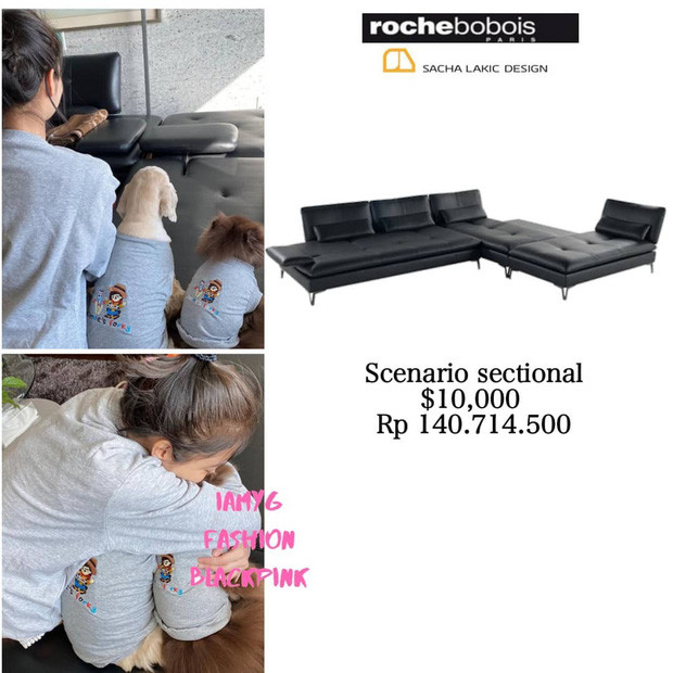 Bóc giá đồ nội thất nhà Jennie: Món nào cũng sang xịn mịn, đến đồ chơi cũng tới cả tỷ đồng ảnh 6