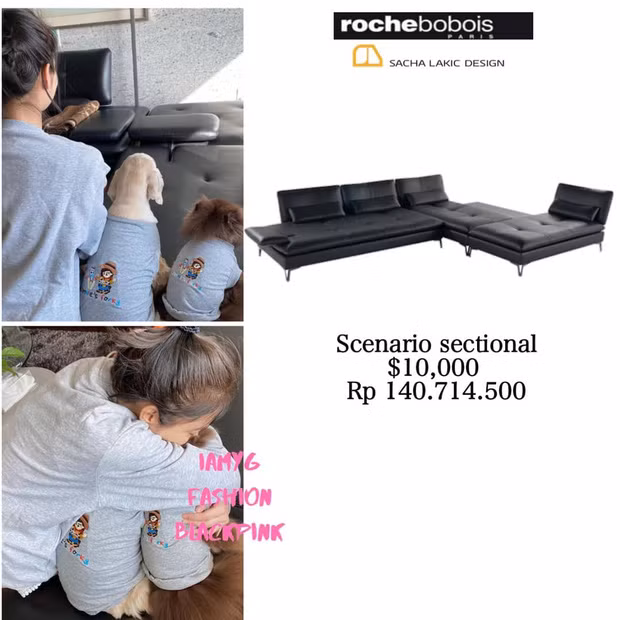 Bóc giá đồ nội thất nhà Jennie: Món nào cũng sang xịn mịn, đến đồ chơi cũng tới cả tỷ đồng ảnh 6