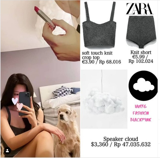 Bóc giá đồ nội thất nhà Jennie: Món nào cũng sang xịn mịn, đến đồ chơi cũng tới cả tỷ đồng ảnh 2