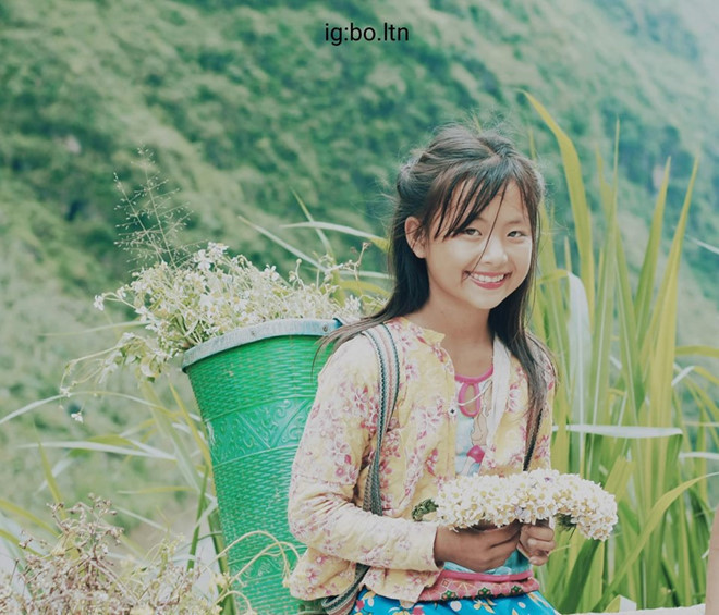 Cô bé xinh xắn bán hoa ven đường ở Hà Giang bất ngờ nổi tiếng ảnh 2
