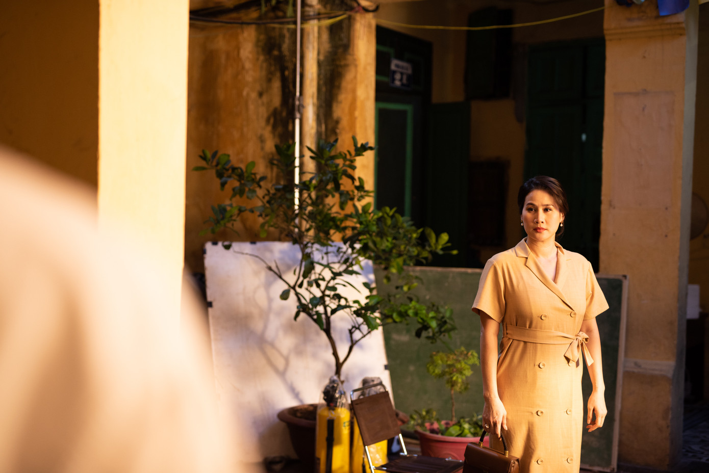 Đàm Vĩnh Hưng tiếp tục kể câu chuyện tình yêu có thật của mình ảnh 2