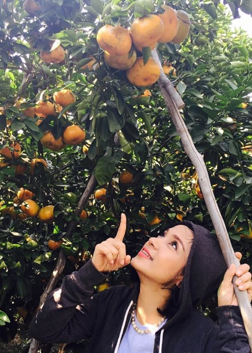 Phát 'sốt' với vườn cây sai trĩu quả của Việt Trinh ảnh 6