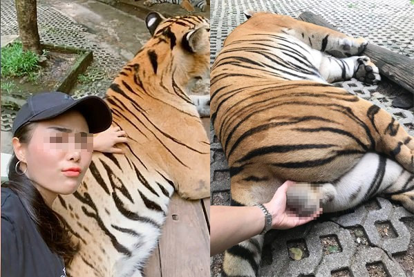 Showbiz 4/9: MC Thanh Hường xúc động khi hội ngộ nhà báo Lại Văn Sâm ảnh 6