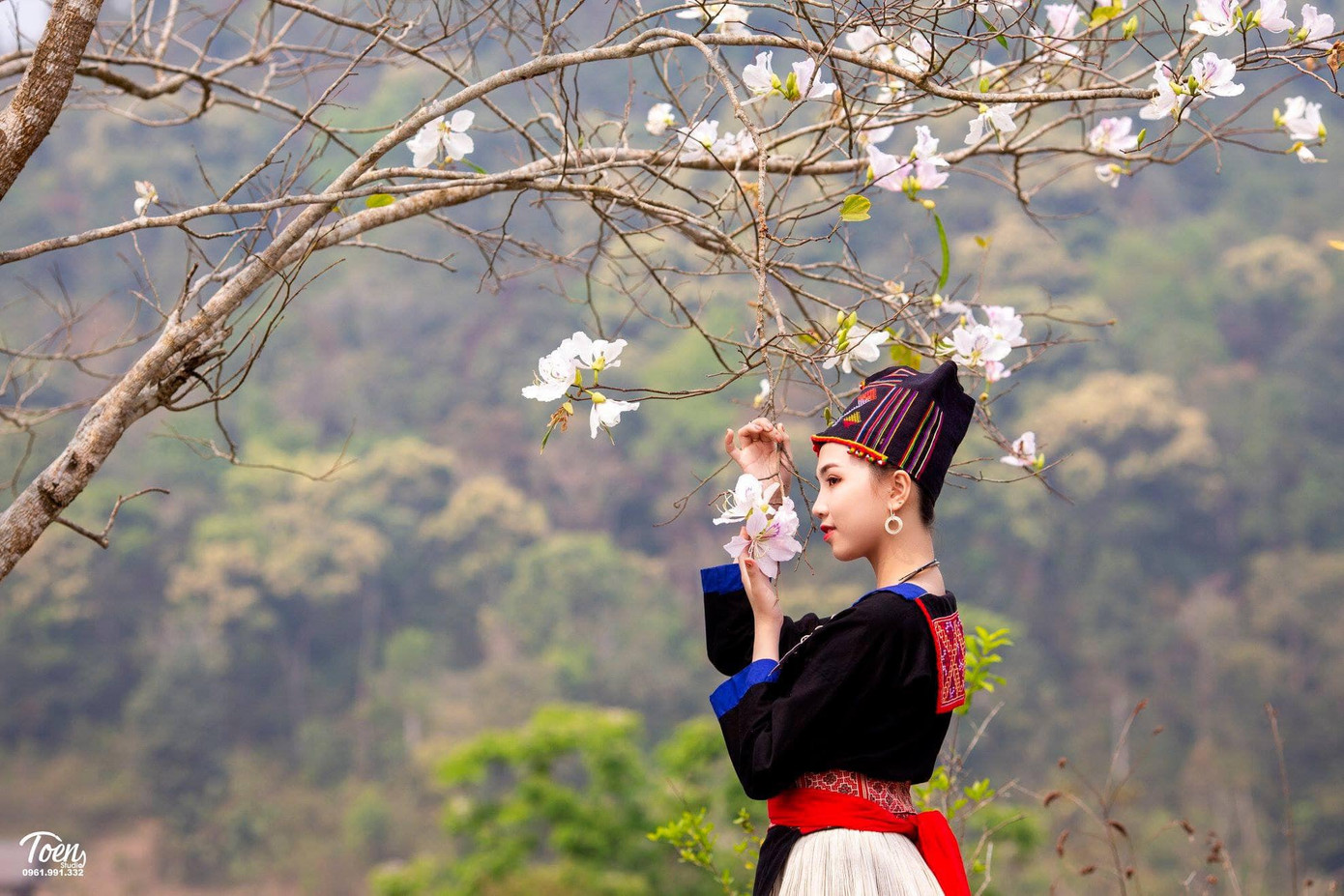 Người đẹp Hoa Ban dự thi Hoa hậu Việt Nam 2020 ảnh 1