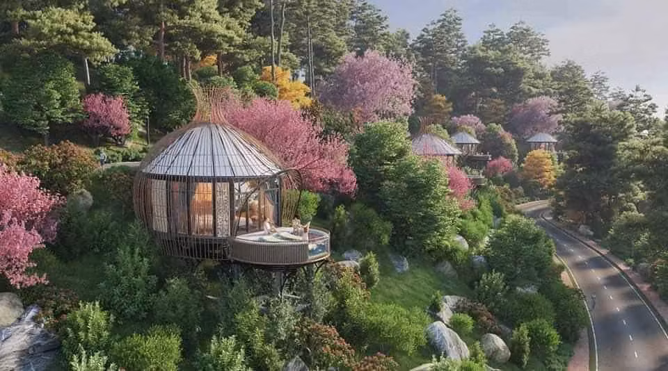 Thực hư thông tin xuất hiện khu du lịch với kiến trúc tổ chim độc đáo ở Hòa Bình ảnh 9