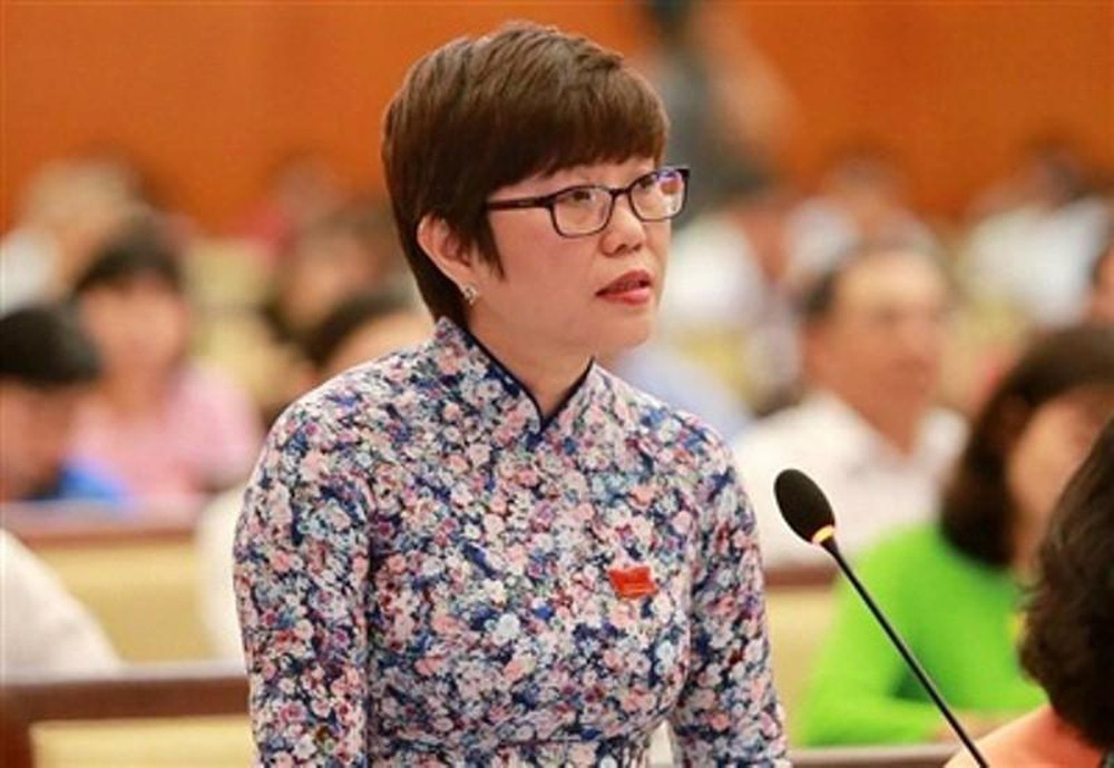 Bà Nguyễn Thị Quyết Tâm: ‘Tiếp xúc cử tri lần này đau lòng lắm!’ ảnh 3